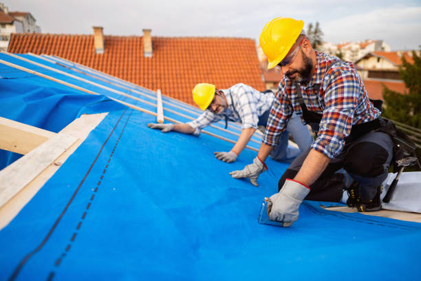 Best Chimney Flashing Repair  in Whiteriver, AZ