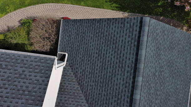 Best Roof Moss and Algae Removal  in Whiteriver, AZ