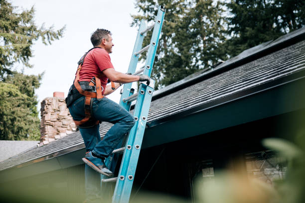 Best Gutter Installation and Repair  in Whiteriver, AZ