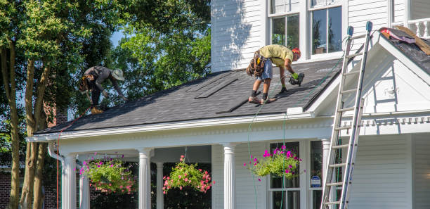 Best Roof Ventilation Installation  in Whiteriver, AZ